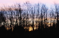 AMBIANCE 3