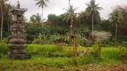 BALI 17