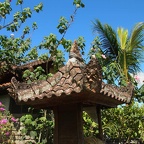 BALI 19