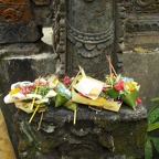 BALI 23