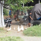 BALI 28