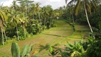 BALI 39
