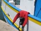 INSOLITE 8