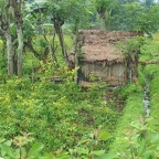 MAISON 5