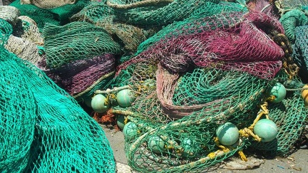 MER 7
