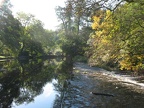 NATURE 5