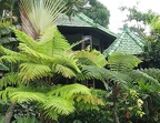 NATURE 9