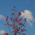 NATURE 10 