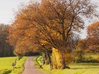 NATURE 12