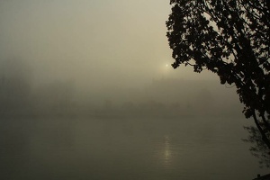 Un jour de brouillard