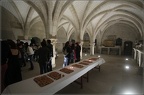 IMG 7081
