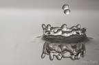 Waterdrop (3)