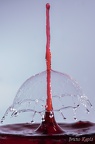 Waterdrop (10)
