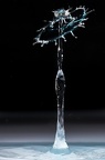 Waterdrop (17)