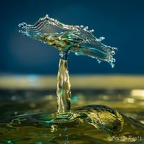 Waterdrop (18)