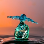 Waterdrop (26)