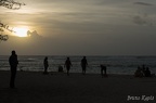 Ile Maurice 2015 (2)