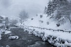La bresse