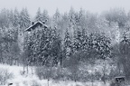 La bresse-4