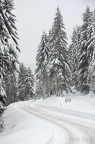 La bresse-8