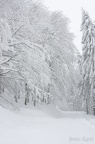 La bresse-9