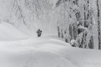 La bresse-10