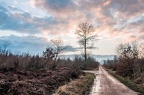 forêt-Othe-55
