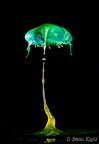 waterdrop (2)
