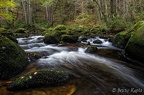 Morvan-8