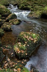 Morvan-9