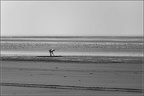 MichelMaillard01201803