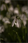 GuyEichelberger02201809