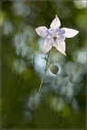 GellyRasquier05201823