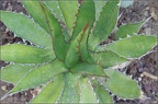 PatrickDelostal05201802