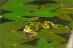 PatrickDelostal05201805