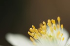 FabienneClerin08201801
