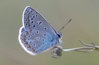 FabienneClerin09201801