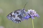 FabienneClerin09201802