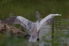 PatrickDelostal09201804