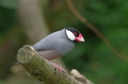 PatrickDelostal09201812