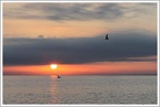 ThierryChazaud062019050S