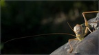 CatherineDenisot082019090S