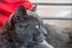 FabienneClerin082019040S