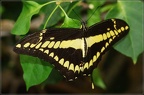 PatrickDelostal092019050S