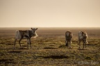 Islande 2020-37
