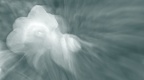 CatherineDenisot202003149