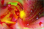 MauriceEsquirol202005079
