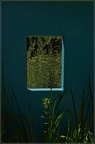 JeanPaulMonier20210612