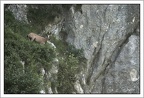 MichelMaillard20210704