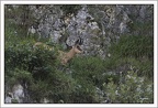 MichelMaillard20210705